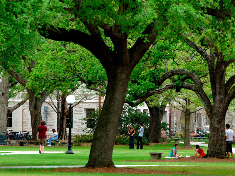The Tulane University Master Plan will produce a holistic and integrated assessment of the campus environment with the goal of coordinating the institutional mission with the physical development of the campus.