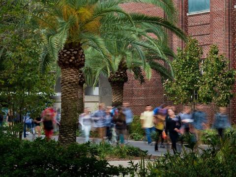 Pedestrian traffic on McAlister
