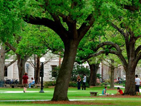 The Tulane University Master Plan will produce a holistic and integrated assessment of the campus environment with the goal of coordinating the institutional mission with the physical development of the campus.